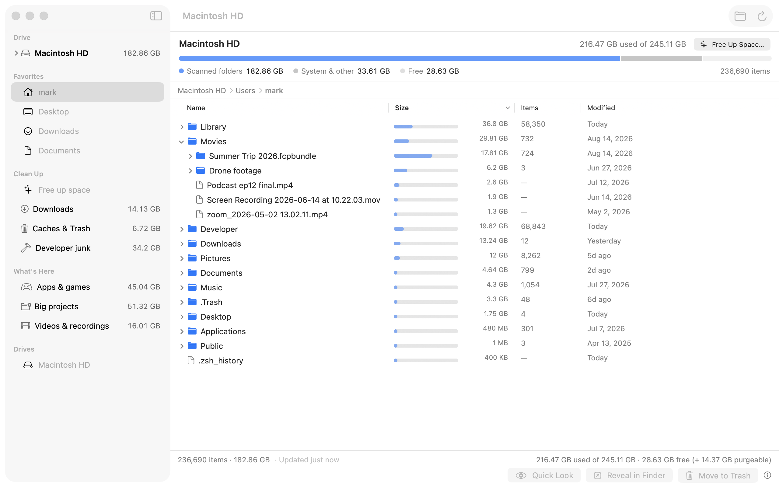Foldscale showing a home folder: every folder with its size, sorted biggest-first, with a Movies folder expanded